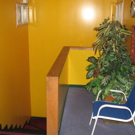 Hostal El Mirador Пунта-Аренас Экстерьер фото